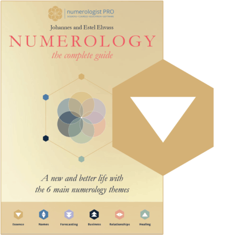 Numerologist PRO™ home page